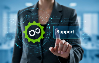 Dedicated Support Model